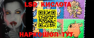 СК Кандалакша