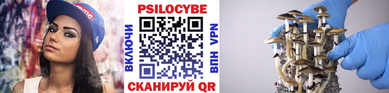 Галлюциногенные грибы Magic Shrooms  Калуга 