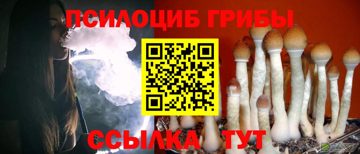 Псилоцибиновые грибы мухоморы  Псилоцибиновые грибы мицелий  Калуга  Вход с VPN 